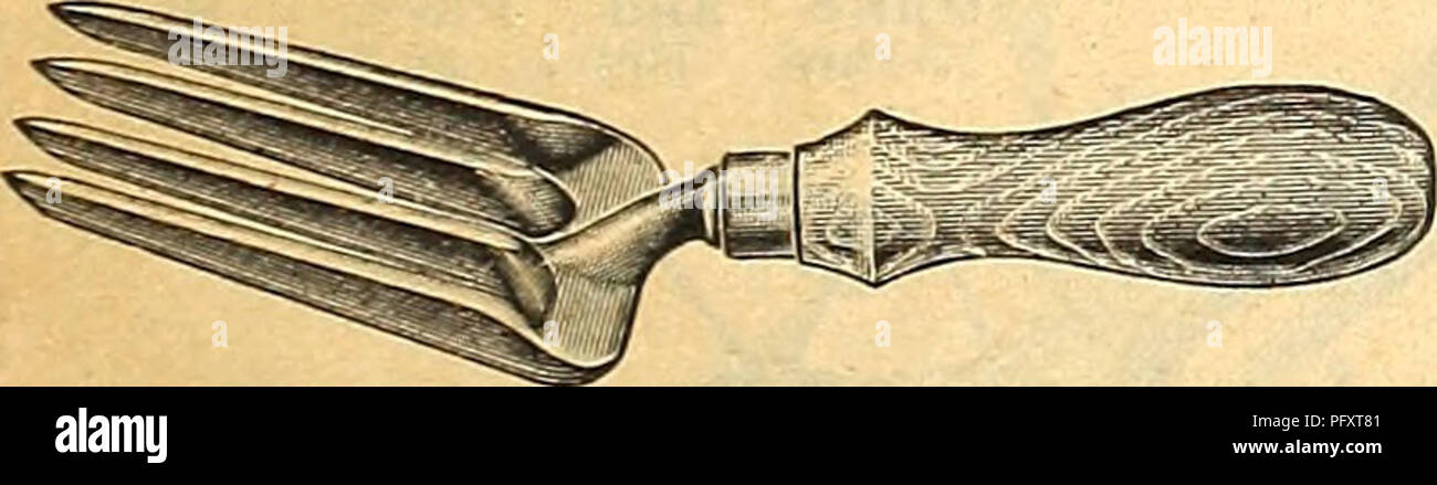 . Currie's farm and garden annual : spring 1923 48th year. Flowers Seeds Catalogs; Bulbs (Plants) Seeds Catalogs; Vegetables Seeds Catalogs; Nurseries (Horticulture) Catalogs; Plants, Ornamental Catalogs; Gardening Equipment and supplies Catalogs. TROWELS, GARDEN. Handy, 6-in $0.20 Solid Steel, one piece, 6-in 40 Forged Steel, 6-ln 65 Transplanting Troirel — Deeply curved, narrow blade, 7-in... .25. Forks—Hand' weeding, 4 tine. .$0.30 Imported steel, 3 tine 50 Solid steel, 4 tine 75 GARDEN LINE, &quot;SILATEIR LAKE.&quot; Per 100 feet, solid braided hemp $160 GARDEN LINE REELS. Small size $1.1 Stock Photo