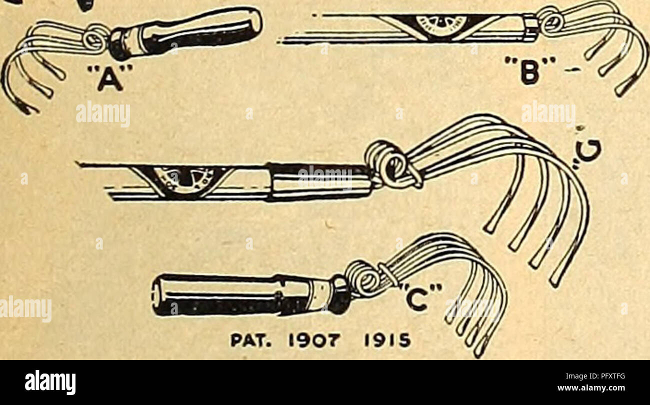 . Currie's farm &amp; garden annual : spring 1922 47th year. Flowers Seeds Catalogs; Bulbs (Plants) Seeds Catalogs; Vegetables Seeds Catalogs; Nurseries (Horticulture) Catalogs; Plants, Ornamental Catalogs; Gardening Equipment and supplies Catalogs. Porks—Hand weeding, 4 tine... $0.30 Imported steel, 3 tine 50 Solid steel, twisted prongs... .75 GARDEN LINE, &quot;SILVER LAKE.&quot; Per 100 feet, solid braided hemp $1.60 GARDEN LINE REELS. Small size $1.15 Large size 1.75 KEICHARD'S COMBINATION SPRING- TOOTH MAGIC WEEDER HOES.. Five Point Scratcli Weeder, with 6-lnch Handle. Price 15c. Seven-Po Stock Photo