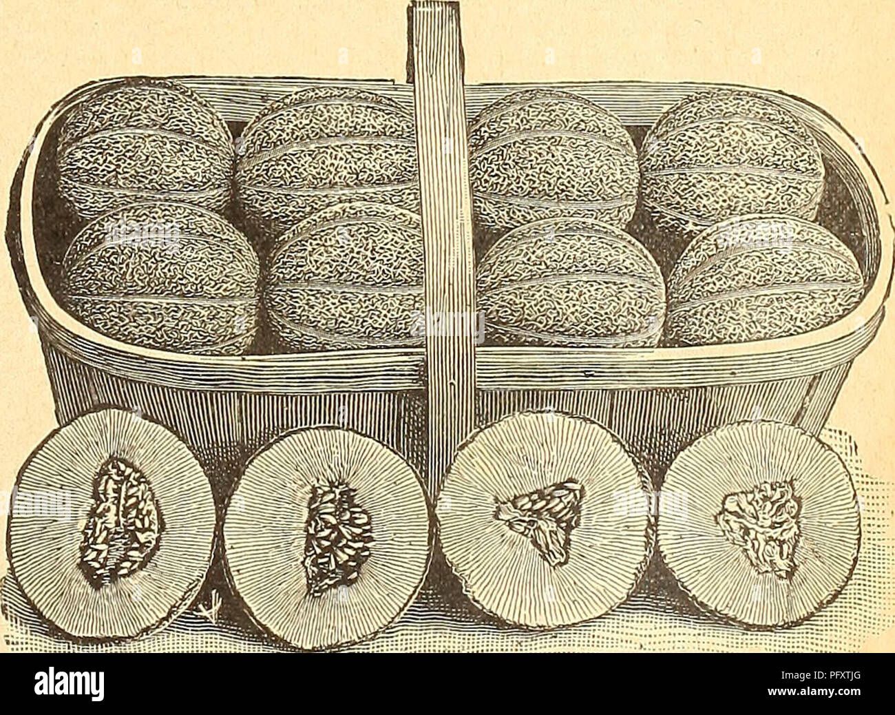 Currie S Farm And Garden Annual Spring 1926 Flowers Seeds