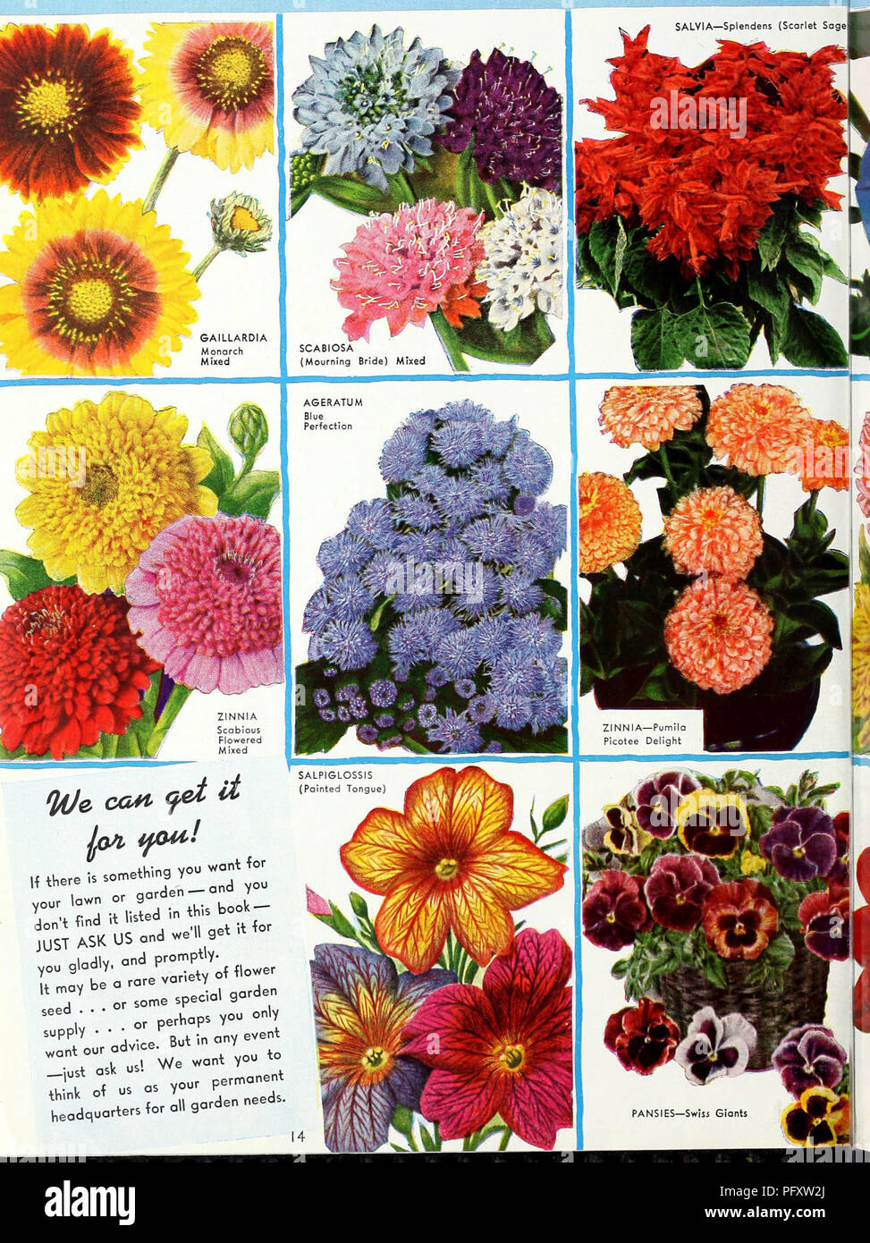 This gardening catalog from 1939 offers a selection of flower