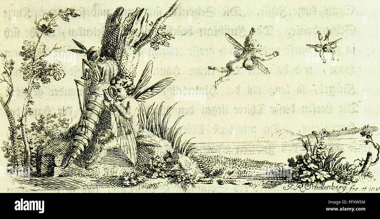 . Die Kennzeichen der Insekten, nach Anleitung des Ko?nigl. schwed. Ritters und Leibarzts Karl Linnaeus, durch XXIV. Entomology. H^nnt^iet?t»vel)nie. gween Slitgct 3 ^7. @ecl)ftc klaffe. Bt»een 5iüöei. j?o(f)cndgnfic|e, einfache ©tiei^ d)cn unter ieDem Stöget, mit einem eige^ nen @(fefipct^en tefceft* f!? ?Hennt&amp;iet6te6me* oeftrus. Linn.ccxx.f. maui oöne SRülTel ot)er t)eutli*en e*nakf* Fig. 127» 5)icfe Sfiege tfl t»et ©eflalt ttöci^ einet Jjjittttmef fe^r ö^nlicö unb öam rmi^, S)er Hopf tft W behaart 2(uf ben eetten grofife tlitotett ©nicöt ^*J^en furjere, an^re Idnaere 5wWl)0t?nf^* 2)ei: Stock Photo