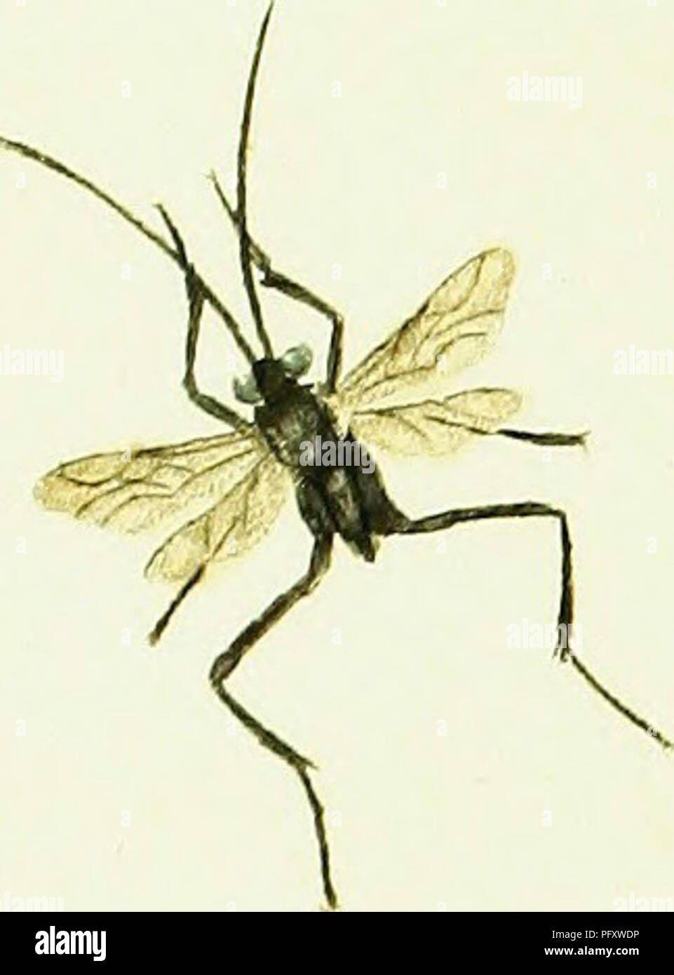 This work covers the natural history of British insects, describing ...