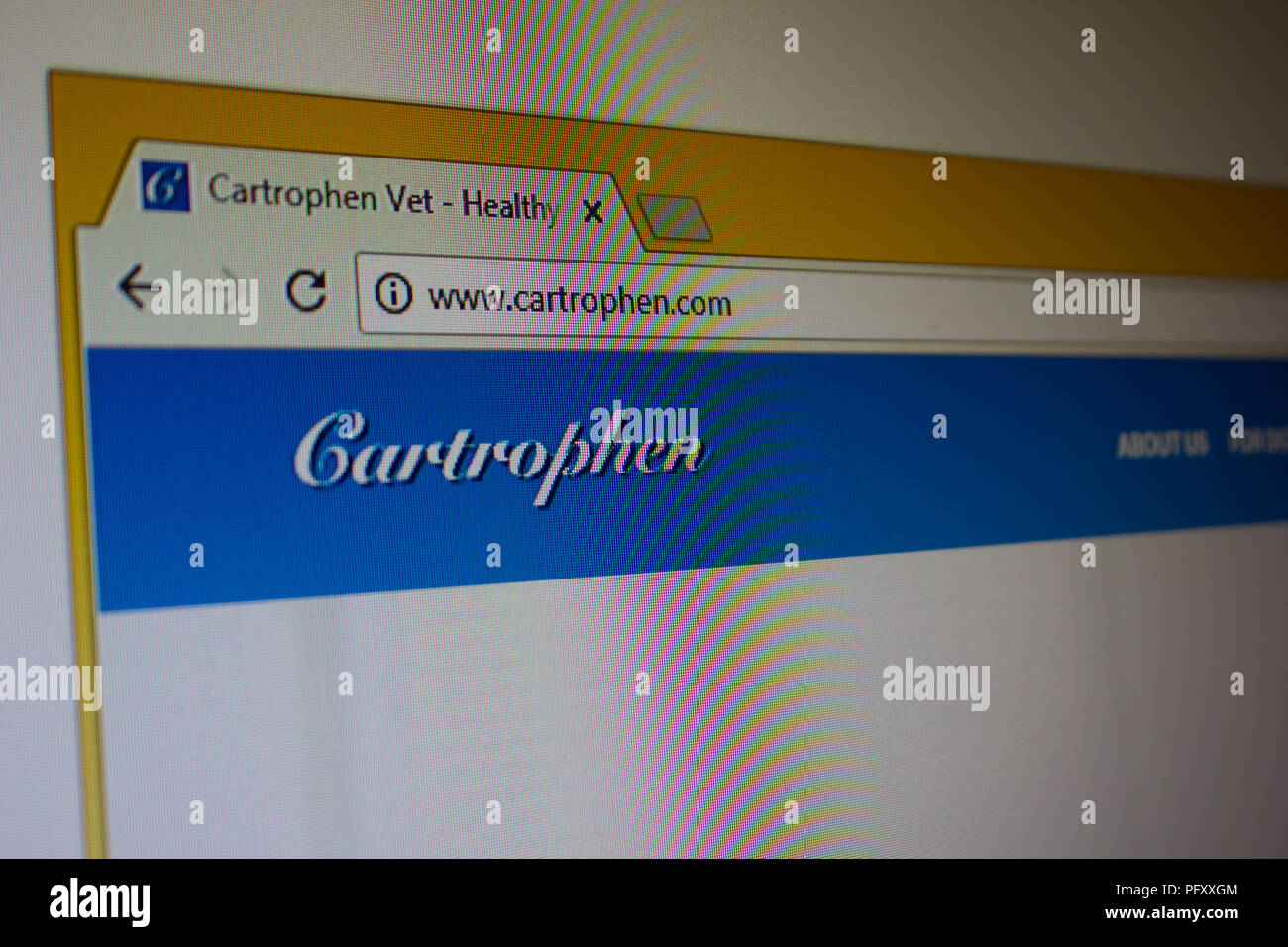 Cartrophen Vet Website homepage Stock Photo