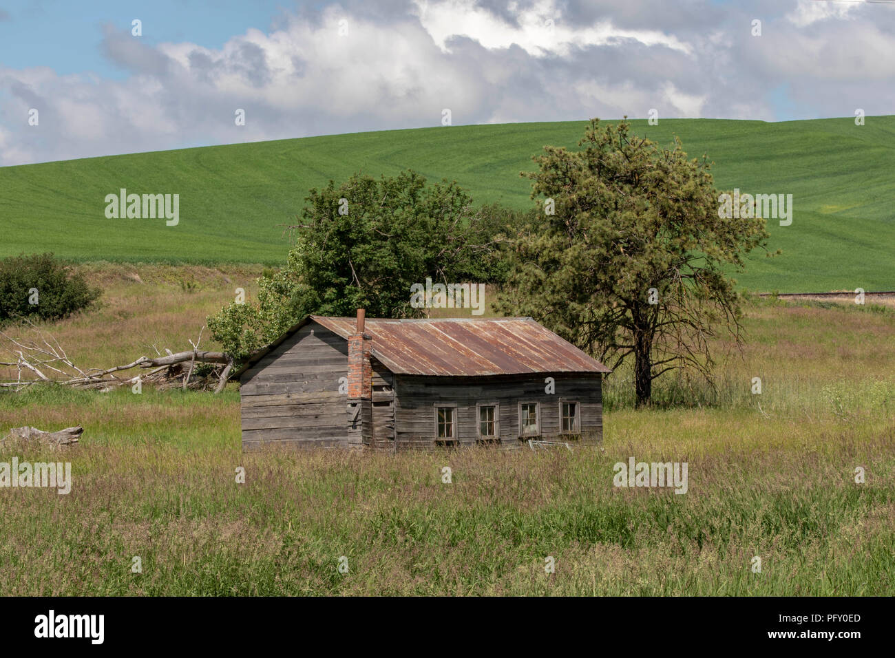 Remains of an old storage shed in the farm land in Pullman Washington