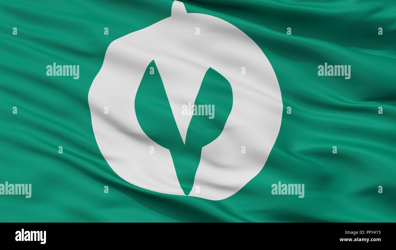 Kakuda City Flag, Japan, Miyagi Prefecture, Closeup View Stock Photo ...