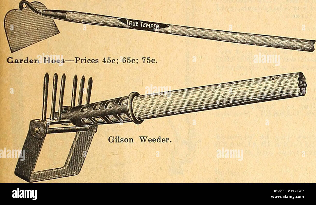 Weeder hoe hi res stock photography and images Page 3 Alamy