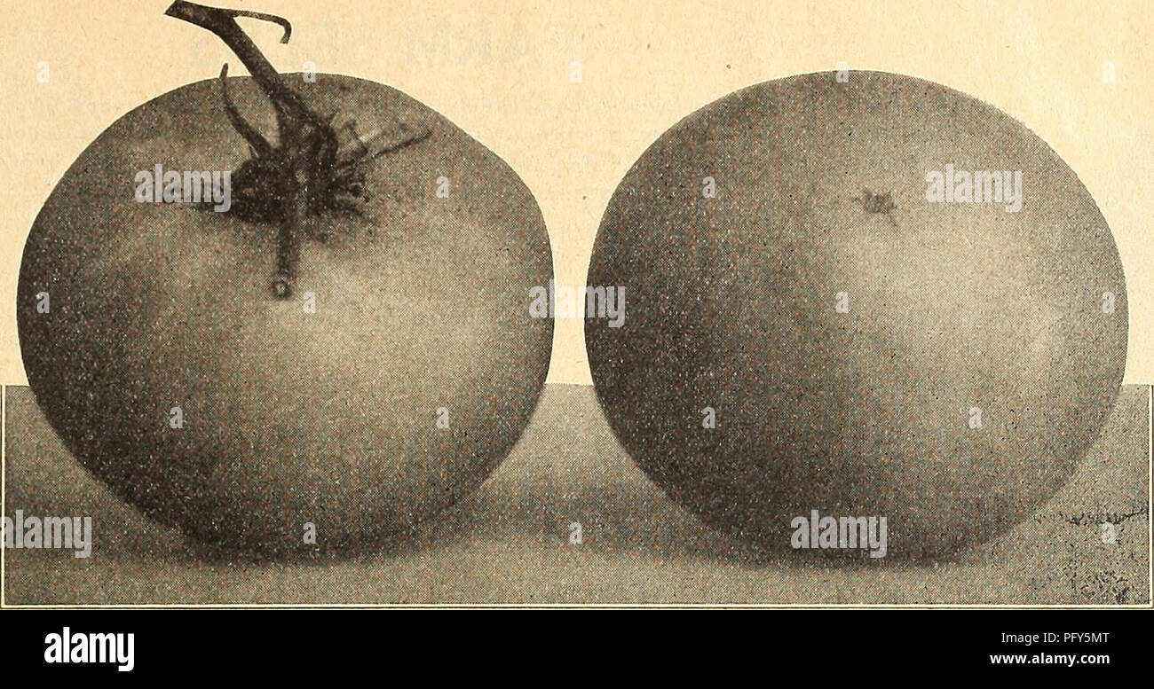 A 1918 seed catalog listing tested vegetable, flower, and ornamental