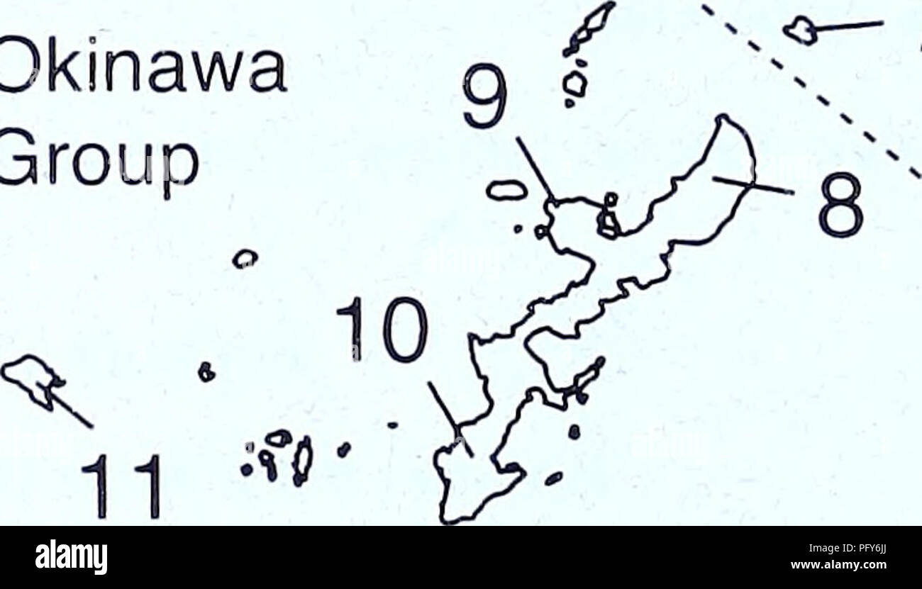 . Current Herpetology. 1^5. 7 Fig. 1. A map of the central Ryukyus, showing sampling localities of Eumeces marginatus. l=Iotorishima, 2=Kodakarajima, 3=Takarajima, 4=Amamioshima, 5=Tokunoshima, 6=Okinoer- abujima, 7=Yoronjima, 8=Yona, 9=Bise, 10=Shuri, ll=Kumejima.. Please note that these images are extracted from scanned page images that may have been digitally enhanced for readability - coloration and appearance of these illustrations may not perfectly resemble the original work.. Herpetological Society of Japan. Kyoto : Herpetological Society of Japan Stock Photo