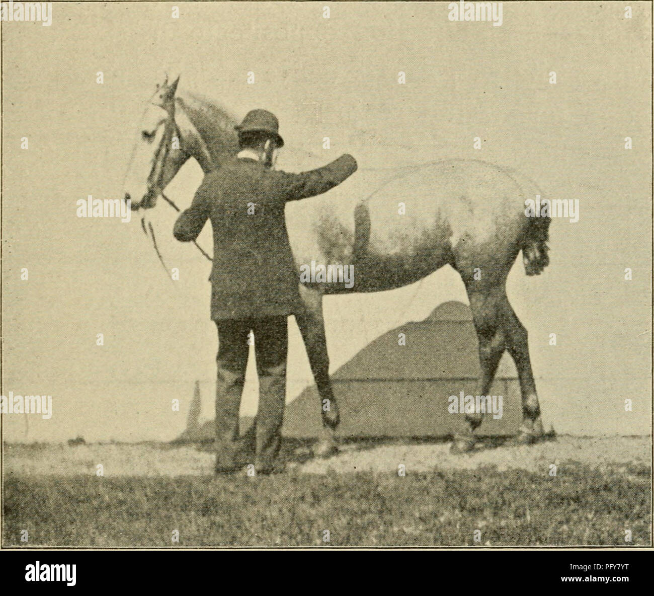 Curb Snaffle And Spur A Method Of Training Young Horses For