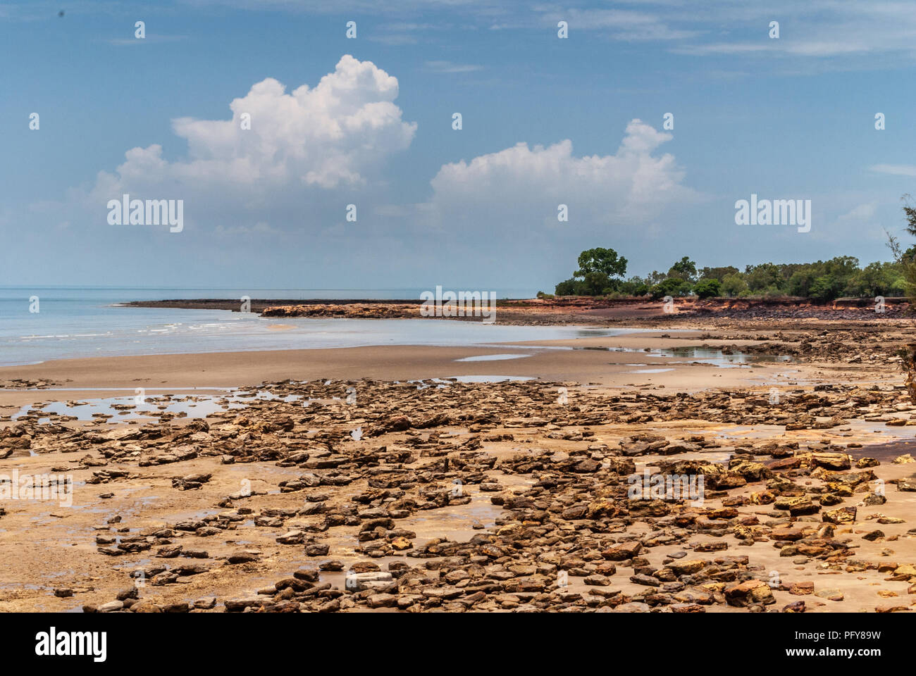 Darwin, Northen Territory, Australia - December 1, 2009: Landscape of shore line of Timor Sea shows rocky sandy beach with line of green vegetation di Stock Photo