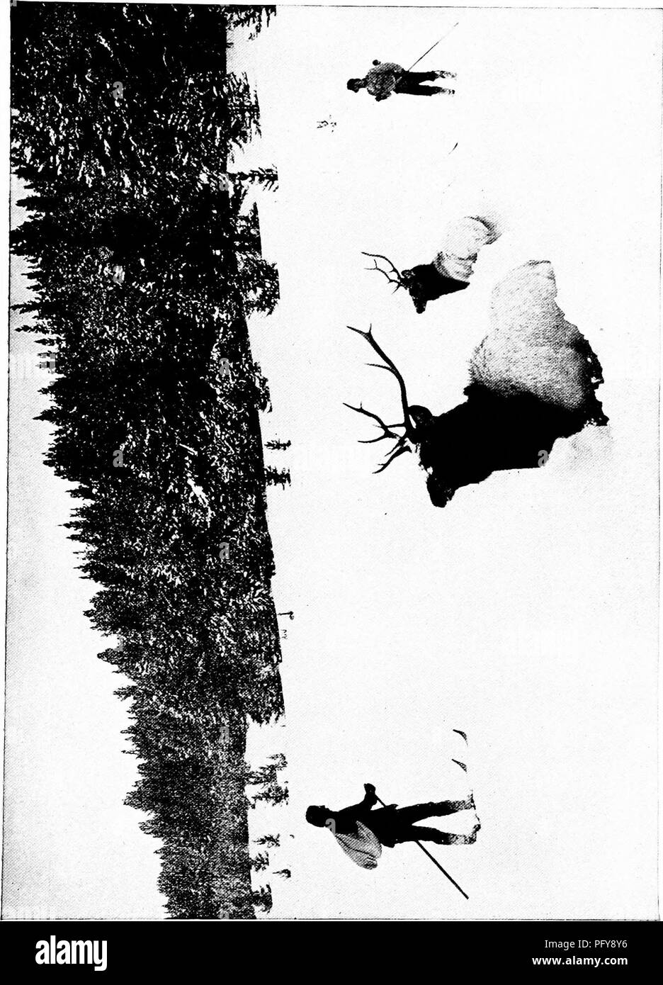 . [Articles about birds from National geographic magazine]. Birds. The Policemen of the Air 1 09. &lt; w o o ?J w ^^ o to Bh w w Q w. Please note that these images are extracted from scanned page images that may have been digitally enhanced for readability - coloration and appearance of these illustrations may not perfectly resemble the original work.. Washington, D. C. : National Geographic Society Stock Photo