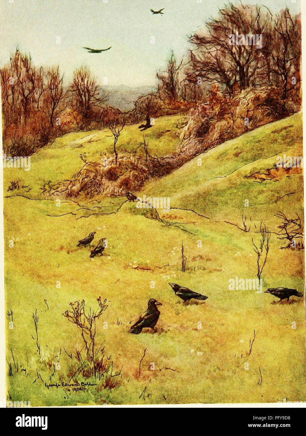 The Natural History And Antiquities Of Selborne In The County Of Southampton Natural History On Splbornc Dow N Please Note That These Images Are Extracted From Scanned Page Images That