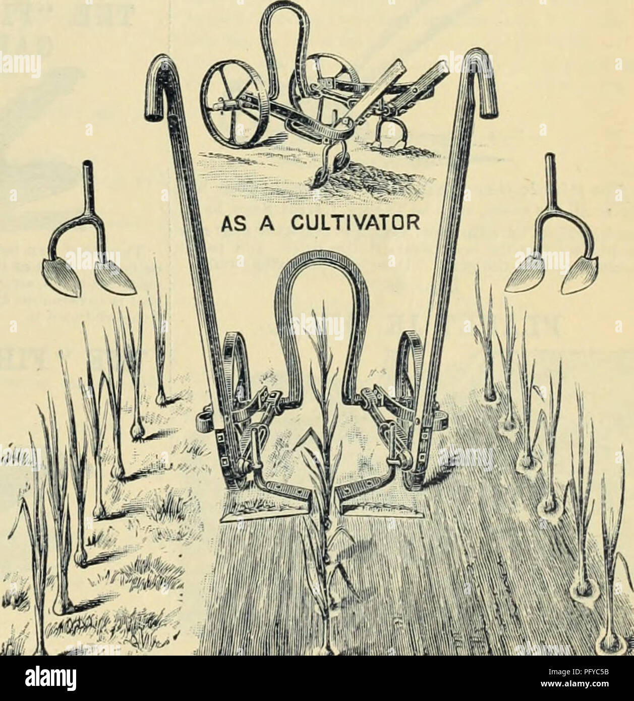 Top dressing plants hires stock photography and images Alamy