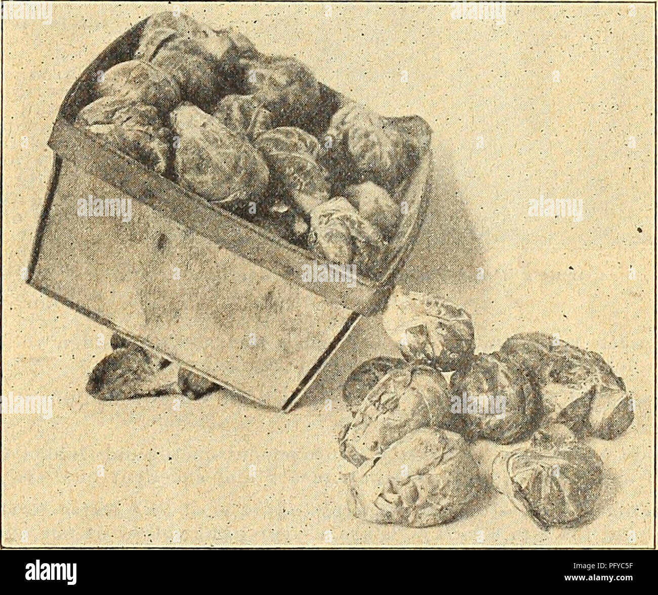 This gardening catalog provides descriptions of seeds, plants, and