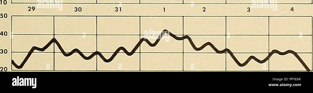 . Current, temperature, tide, and ice growth measurements, eastern Bering Strait-Cape Prince of Wales : 1953-55. Oceanography; Oceanography; Ocean currents. ^/ ^r/&gt; '^'^^ / f ^   A/ / ^ ^A L -'&quot;*-' SEPTEMBER 1954 29 30 31. 6 7 8 10 y ^^y^ ^ / k rs^ •^ &gt; ^w. V- 12 13 14 15 16 17 18 /^ Vv V^ Sm^^ sX Vv/ ^^A. y^ V 200 17,S 0030 23.9 300 25.1 0130 22.3 445 28.C 0240 29.£ 15 32.1 315 38 2345 39 310 35 0050 33 10 30. 0200 30 430 35 0240 33 410 28. 0400 25 630 41 0350 615 35 0600 37. 900 35. 2015 27. 1000 21 2145 22. 1840 31 0630 26. 2000 0710 20. 1950 20 0720 26. 2020 27 0850 22  Stock Photo