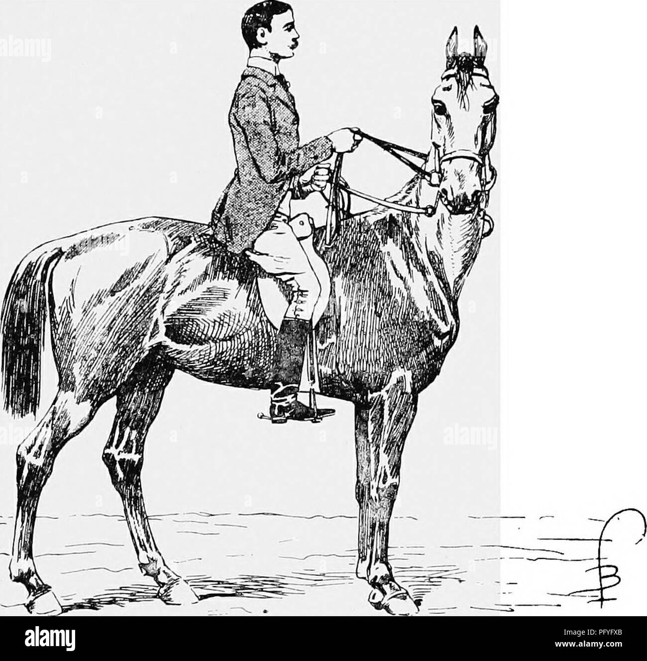 Lateral flexion hires stock photography and images Alamy