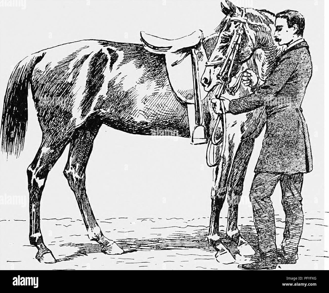 . Breaking and riding, with military commentaries. Horses; Horsemanship