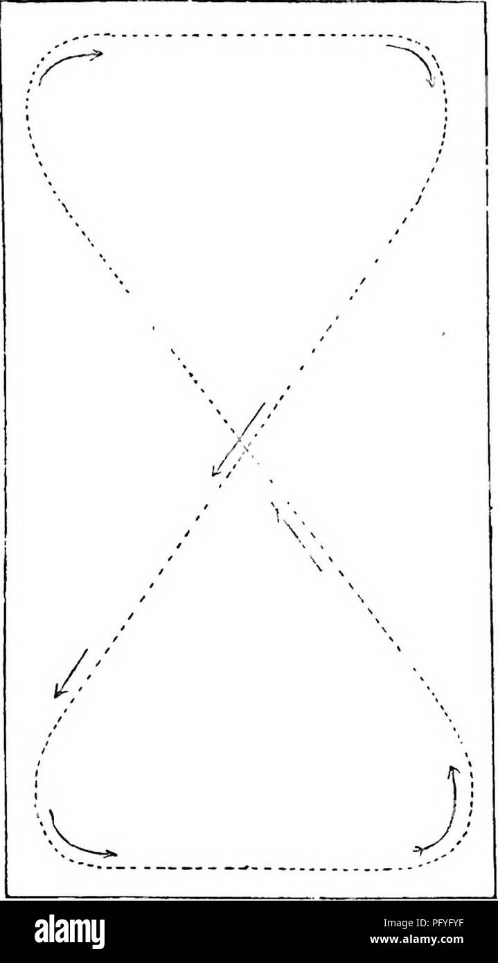 . Breaking and riding, with military commentaries. Horses; Horsemanship. CHANGES OF DIRECTION. 93 the inward leg, but which in this manoeuvre becomes the out- ward one. There is no better exercise than this for keeping the horse always straight and attentive; because, by alternating the demi-voltes and the counter-demi-voltes, it is impossible for him to become &quot; routined.&quot; r. Fig. 28.—Diagonal change of hand. There are three changes of hand. The most simple is the iiagonal change of hand, in which we go along one of the diagonals of the school, on leaving the wall at the beginning o Stock Photo