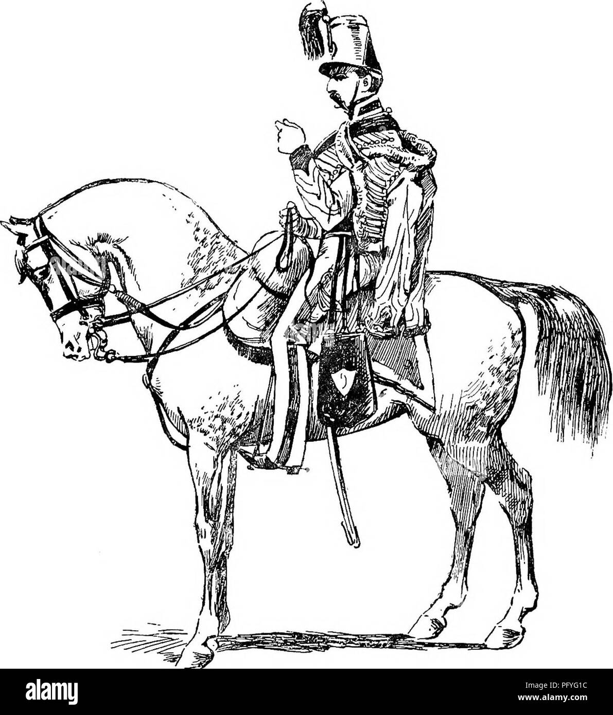 Horse hand bridle military hires stock photography and images Alamy