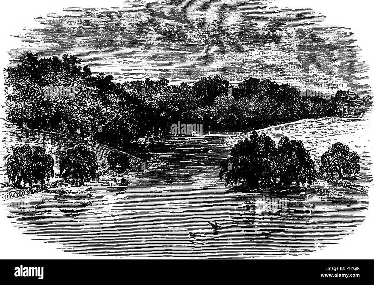 . Wanderings in South America, the North-west of the United States and the Antilles, in the years 1812, 1816, 1820, &amp; 1824 : with original instructions for the perfect preservation of birds, etc. for cabinets of natural history . Zoology; Taxidermy. BIOGRAPHY. 47 but heaped loosely together. Seeds of various trees, espe- cially those of the sycamore, fell into the water, floated on Its surface, and were arrested by the bank, where they took root. They were never aUowed to grow into trees and were constantly cut down. But their roots twined themselves among the stones, and bound them togeth Stock Photo