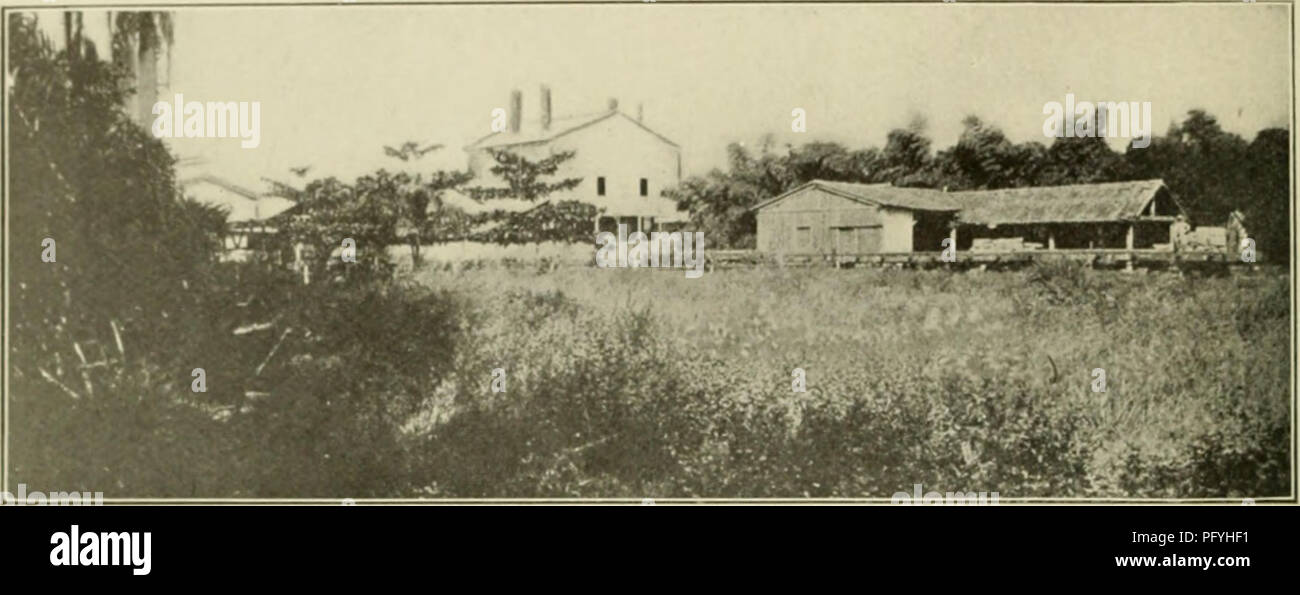 The Cuba review. 18 THE CUBA REVI E W. Sugar mills of Cuba. Central  &quot;Parque Alto&quot; (Rodas). Gregorio Barroso Igiiacio Lanz Ca  Azucarera Sn, Anto. Cayetano Mendez Antdiiio Garcia Pedro Murias