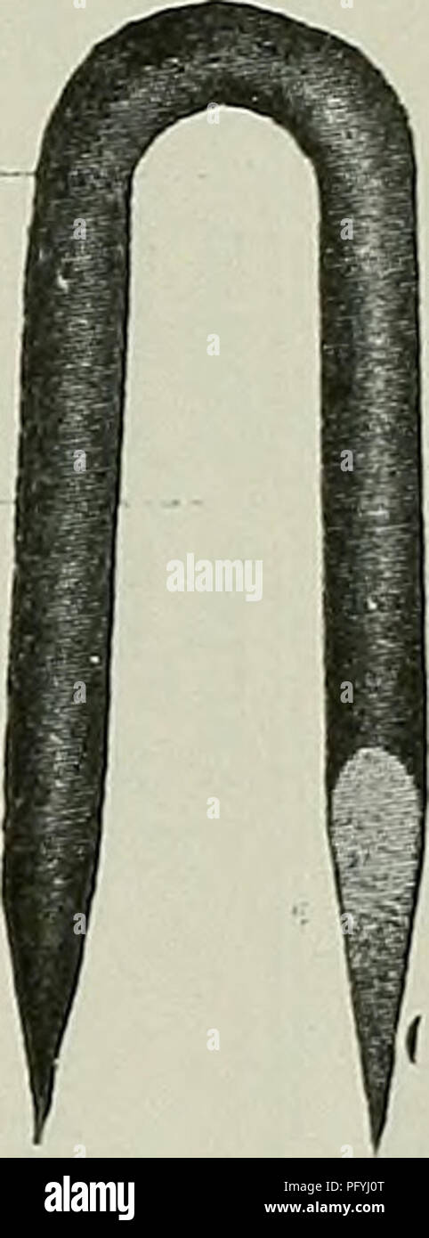 . The Cuba review. . Alambre de puas Cerca Tejida de alambre "SOUTHERN" Puntillas de alambre de todas clases Grampas para cerca RAILES LIGEROS Alambre liso galvanizado Alambre templado Barras de hierro dulce para toda clase de trabajos de herreria Barras de acero cuadradas, retorcidas^en frio, para reforzar concrete oisTiiic( uma LYMAN. Please note that these images are extracted from scanned page images that may have been digitally enhanced for readability - coloration and appearance of these illustrations may not perfectly resemble the original work.. Munson Steamship Line. New Yor Stock Photo
