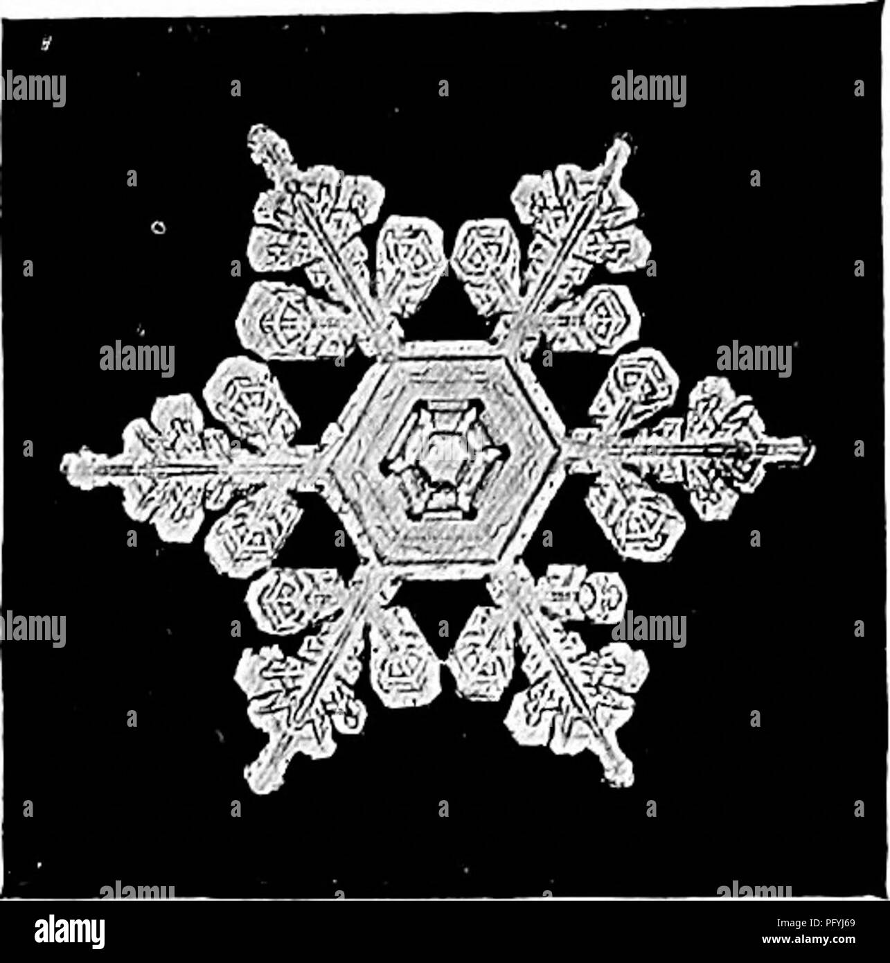 . Handbook of nature-study for teachers and parents, based on the Cornell nature-study leaflets. Nature study. Weather Study 877. Composite crystal; high cloud at center and medium high cloud at the border. Photomicrograph by W. A. Buntley. LESSON CCXXIl Experiments to Show Air Pressure Leading thought—The air presses equally in all directions. Experiment i—To show that air presses upward—Fill a tumbler which has an unbroken edge as full of water as possible. Take a piece of writing paper and cover the tumbler, pressing the paper down firmly upon the edge of the glass. Turn the glass bottom si Stock Photo