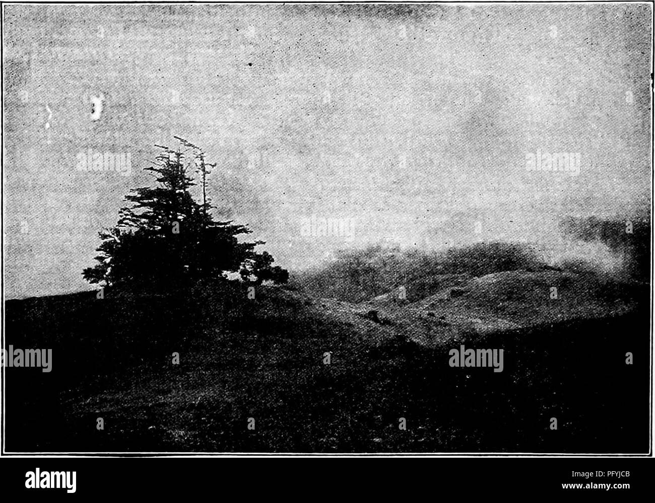 . Handbook of nature-study for teachers and parents, based on the Cornell nature-study leaflets. Nature study. 8so Handbook oj Nature-Study. Fog on Mount Tamalpais, California, Photo by G. K. Gilbert. WATER FORMS Teacher's Story Water, in its various changing forms, is an example of another over- worked miracle—so common that we fail to see the miraciilous in it. We cultivate the imagination of our children by tales of the Prince who became invisible when he put on his cap of darkness, and who made far journeys through the air on his magic carpet. And yet no cap of darkness ever wrought more a Stock Photo