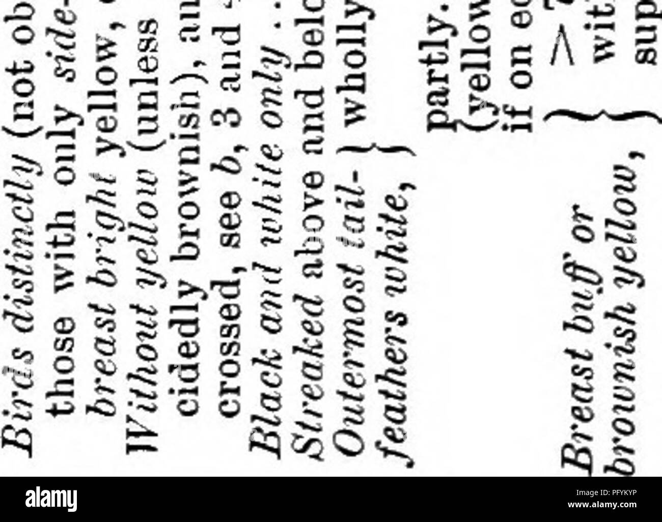 458 B C High Resolution Stock Photography And Images Alamy