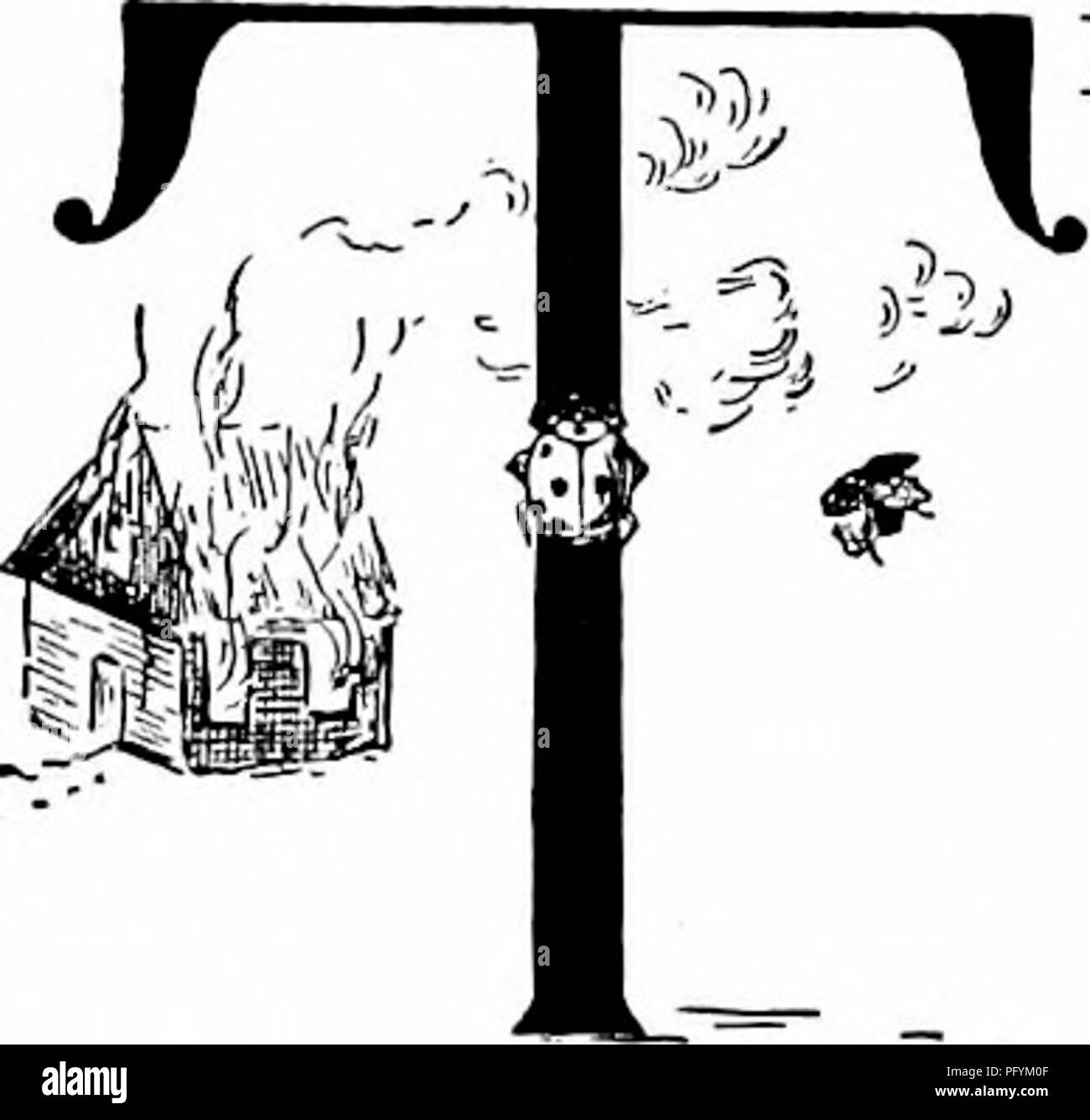 . Handbook of naturestudy for teachers and parents, based on the Cornell naturestudy leaflets