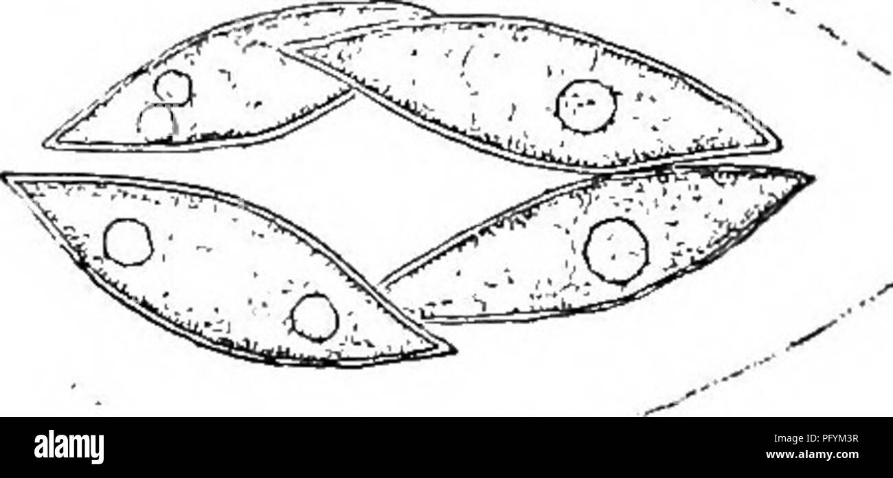 174 132 hires stock photography and images Alamy