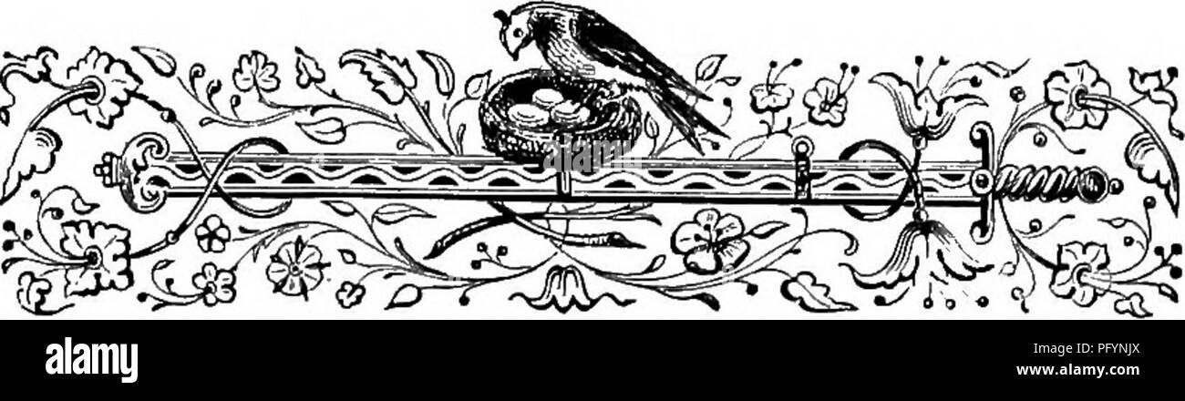 . A popular handbook of the ornithology of the United States and Canada, based on Nuttall's Manual. Birds; Birds. INTRODUCTION. Of all the classes of animals by which we are surrounded in the ample field of Nature, there are none more remarkable in their appearance and habits than the feathered inhabitants of the air. They play around us like fairy spirits, elude approach in an element which defies our pursuit, soar out of sight in the yielding sky, journey over our heads in marshalled ranks, dart like meteors in the sunshine of summer, or, seeking the solitary recesses of the forest and the w Stock Photo