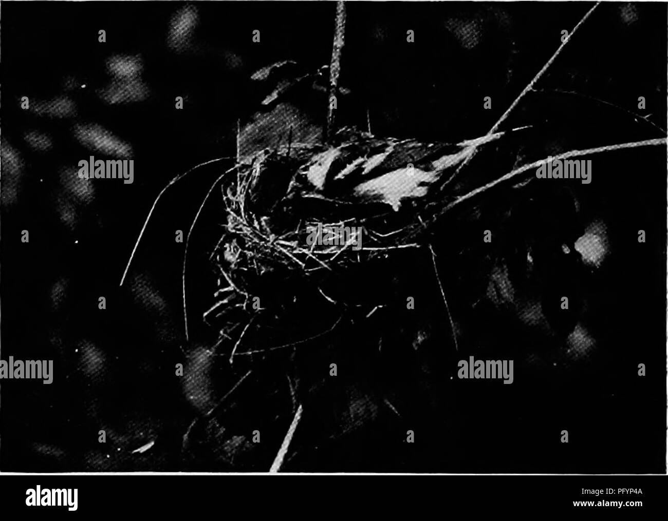 Camera click images Black and White Stock Photos & Images Alamy