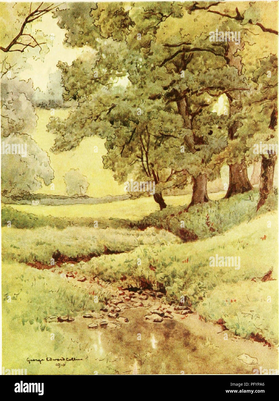 The Natural History And Antiquities Of Selborne In The County Of Southampton Natural History The Upper Stream Please Note That These Images Are Extracted From Scanned Page Images That May