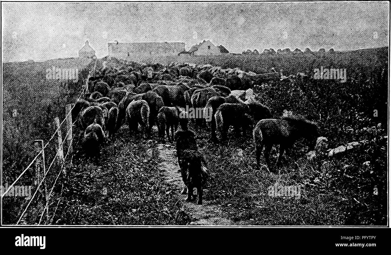 Handbook Of Nature Study For Teachers And Parents Based On - 