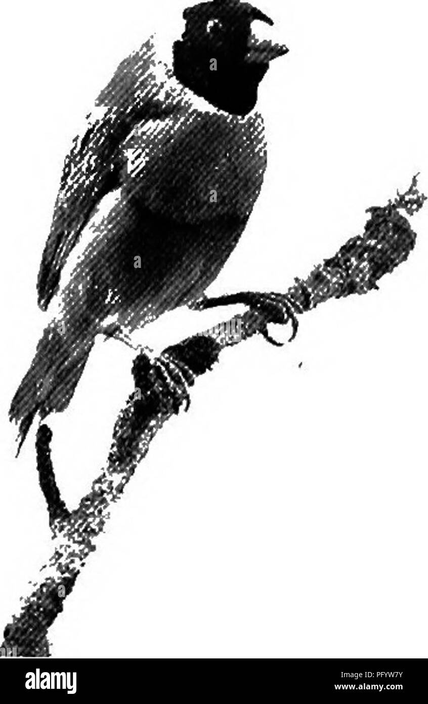 55 2 x Black and White Stock Photos & Images - Alamy