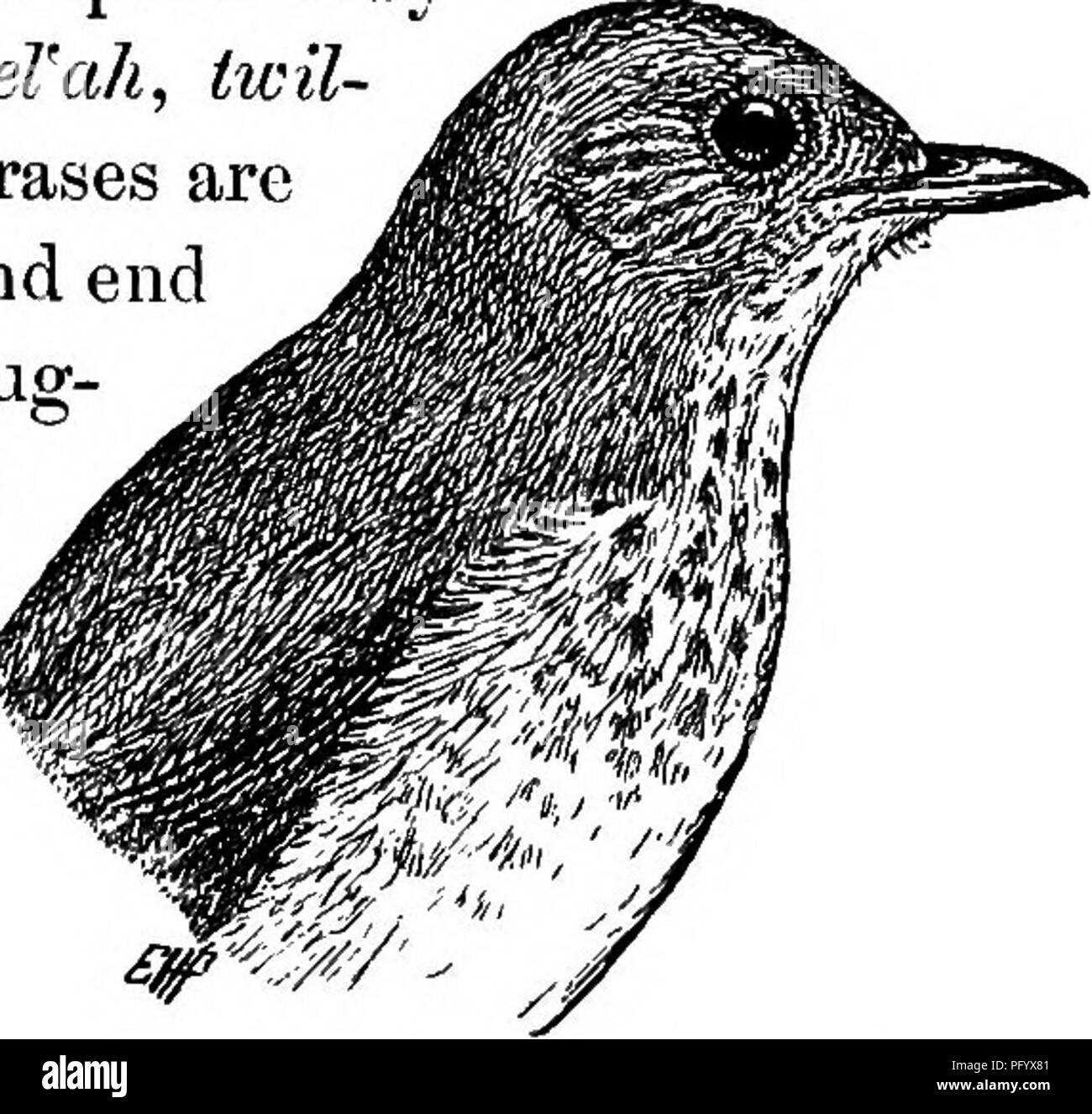 Useful birds and their protection. Containing brief descriptions of the  more common and useful species of Massachusetts, with accounts of their  food habits, and a chapter on the means of attracting
