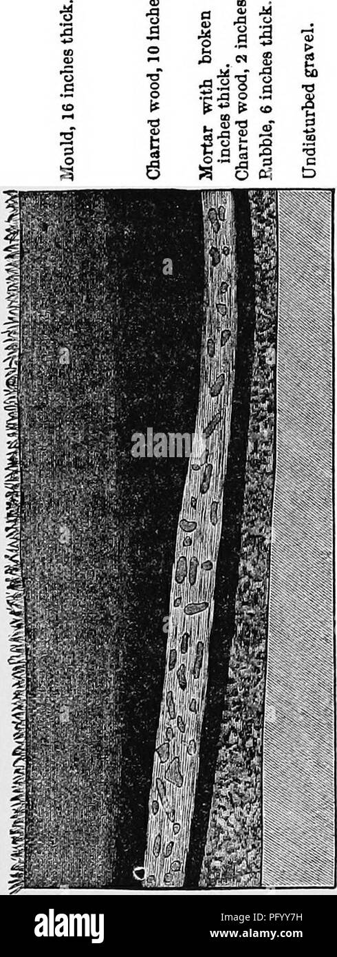 . The formation of vegetable mould, through the action of worms, with observations on their habits. Earthworms; Humus; Soils; 1896. Chap. IV. OF ANCIENT BUILDINGS. 205 fires, separated by an interval of time, during which the 6 inches of &quot; mortar and concrete. Fig. 10. Section within a hall in the Basilica at Silchester. Scale 5^.. Please note that these images are extracted from scanned page images that may have been digitally enhanced for readability - coloration and appearance of these illustrations may not perfectly resemble the original work.. Darwin, Charles, 1809-1882; D. Appleton  Stock Photo