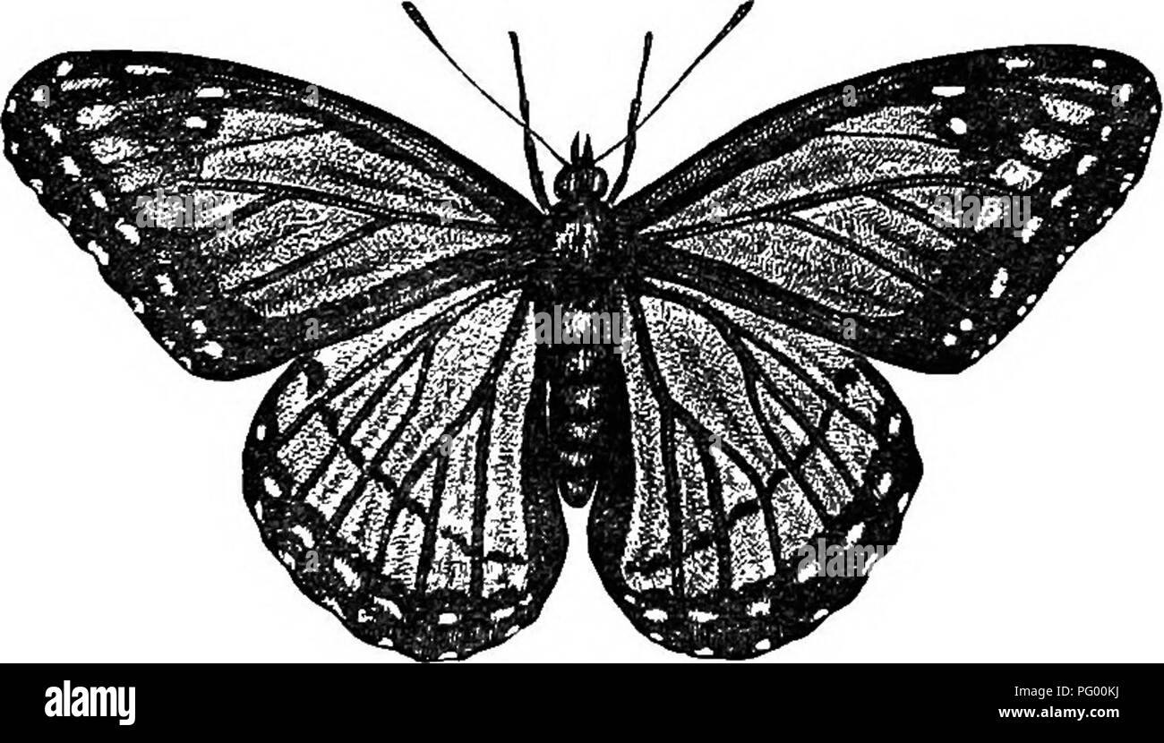 Thii Black And White Stock Photos Images Alamy