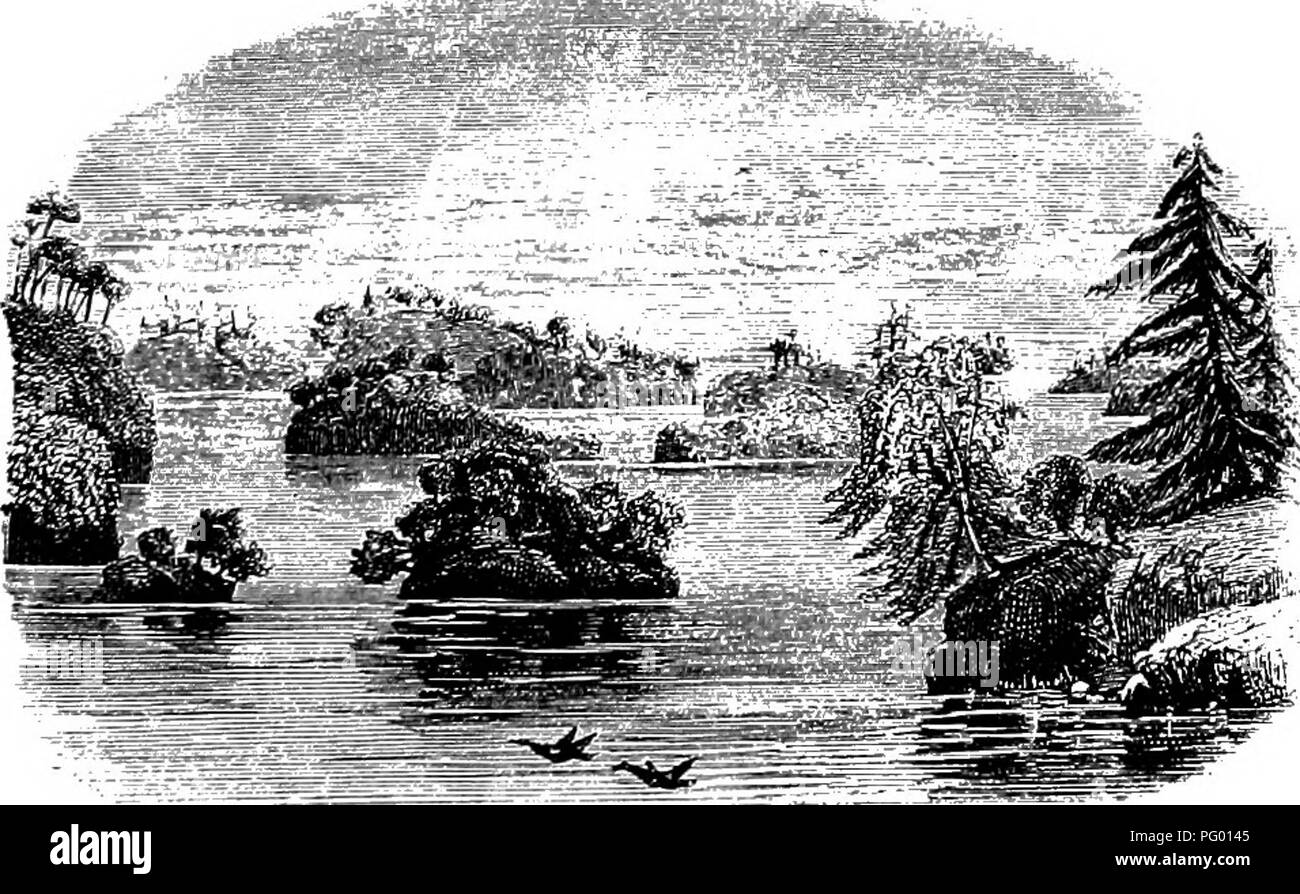 Shooting fish Black and White Stock Photos & Images Alamy