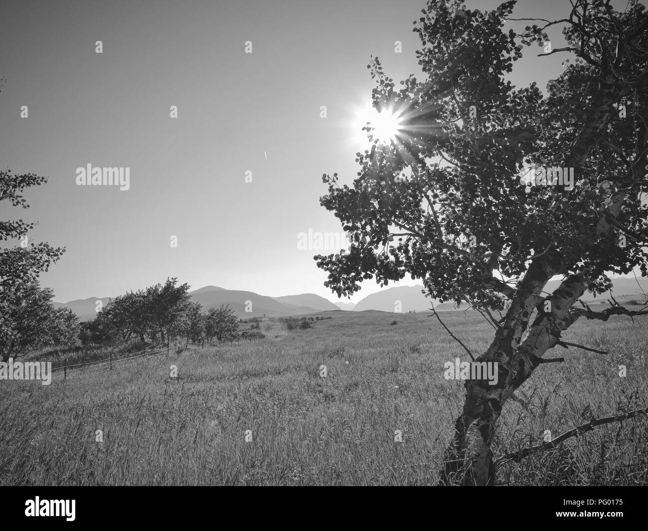 Windy day Black and White Stock Photos & Images - Alamy
