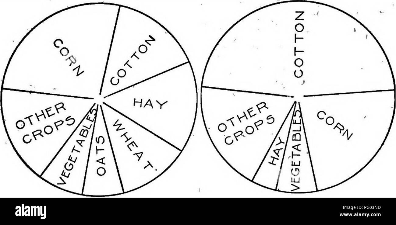 . Field crops for the cotton-belt. Agriculture. CLASSIFICATION AND VALUE OF FIELD CROPS 5 5. Importance of field crops in the cotton-belt. — Below is shown the relative importance of the eteveh field crops treated in this text to the agriculture of both the United States and the cotton-belt: Table 2, Showing Percentage op Entire Aceeagb Occupied BY Each Crop u. S -.. Cotton-belt , . 10.3 39.5 31.7 38.2 14:2 3.S 11.2 3.7 0.2 0.6 0.2 0.8 0.3 0.9 0.5 1.4 0.1 0.3 0.7 0.1 2.5 0.02. VALUE or ALL CROPS VALUE Of ALL CROPS U.S.A. COTTON BELT Fig. 1. — Diagram showing relative value of field crops in Un Stock Photo