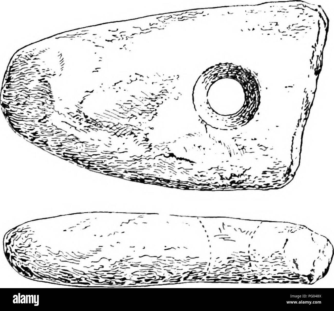 This illustration features a stone adze, an ancient tool discovered in ...