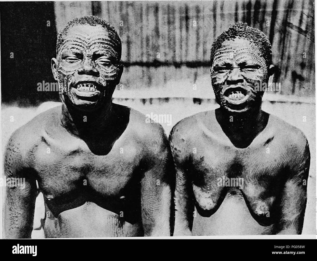 . The Uganda protectorate; an attempt to give some description of the physical geography, botany, zoology, anthropology, languages and history of the territories under British protection in East Central Africa, between the Congo Free State and the Rift Valley and between the first degree of south latitude and the fifth degree of north latitude. African languages; Natural history; Ethnology. PYGMIES AND FOEEST NEGEOES 555 being executed for their supposed crimes, are thrown into the hush and left unburied. The Lendu have no very clearly marked religion, though they have a distinct ancestor^wors Stock Photo