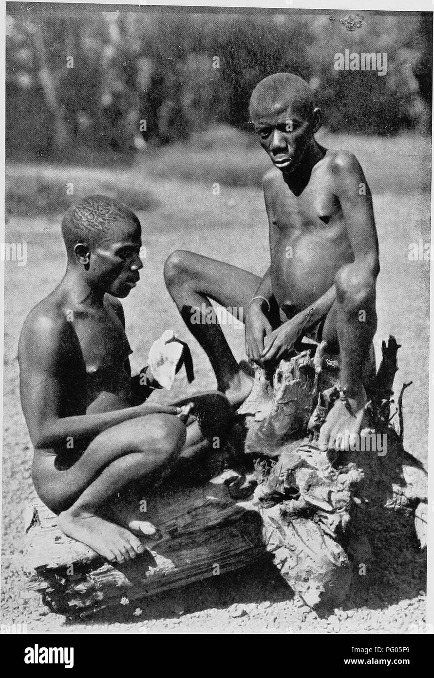 . The Uganda protectorate; an attempt to give some description of the physical geography, botany, zoology, anthropology, languages and history of the territories under British protection in East Central Africa, between the Congo Free State and the Rift Valley and between the first degree of south latitude and the fifth degree of north latitude. African languages; Natural history; Ethnology. 271. EAMBUTE PYGMIES FKOM THE CONGO FOEEST (WEST Oi' THE SEMLIKI KIVER). Please note that these images are extracted from scanned page images that may have been digitally enhanced for readability - colorati Stock Photo