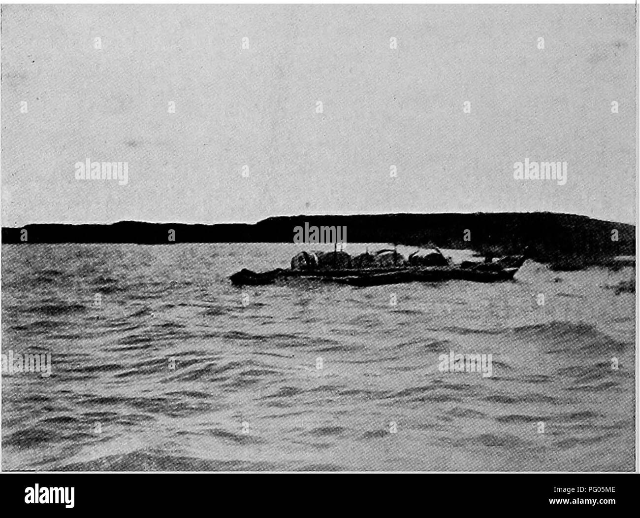 . From the Niger to the Nile. Alexander-Gosling Expedition; Birds. 100 FROM THE NIGER TO THE NILE containing two officers, a sergeant, and a company of Sene- galese. Here I got news of Gosling, who was still at Fort Lamy, where anxiety was felt on account of my non-appear-. A CANOB CABBYING POTASH ance, fears being entertained that I had lost my way or been killed by the Budumas. It was at Bui that the practical methods of the French were demonstrated to me in a number of Buduma canoes, which were fitted with grass awnings so that they could be used by white men for the exploration of the Lake Stock Photo