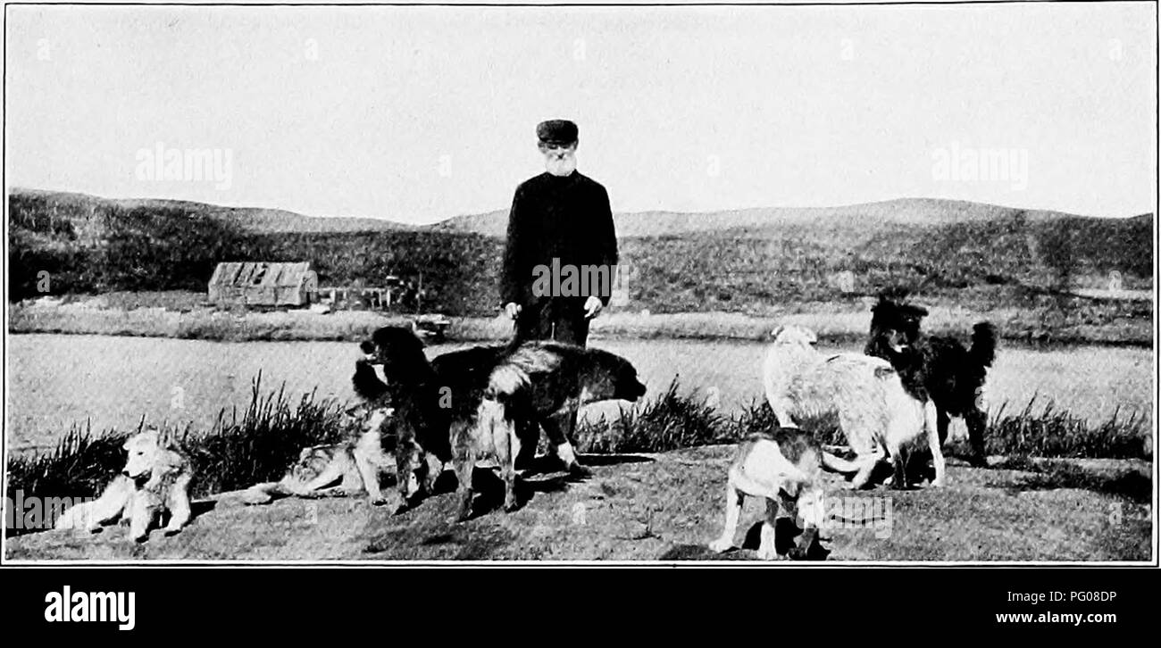 . In Audubon's Labrador. Audubon, John James, 17851851; Birds. MUTTON