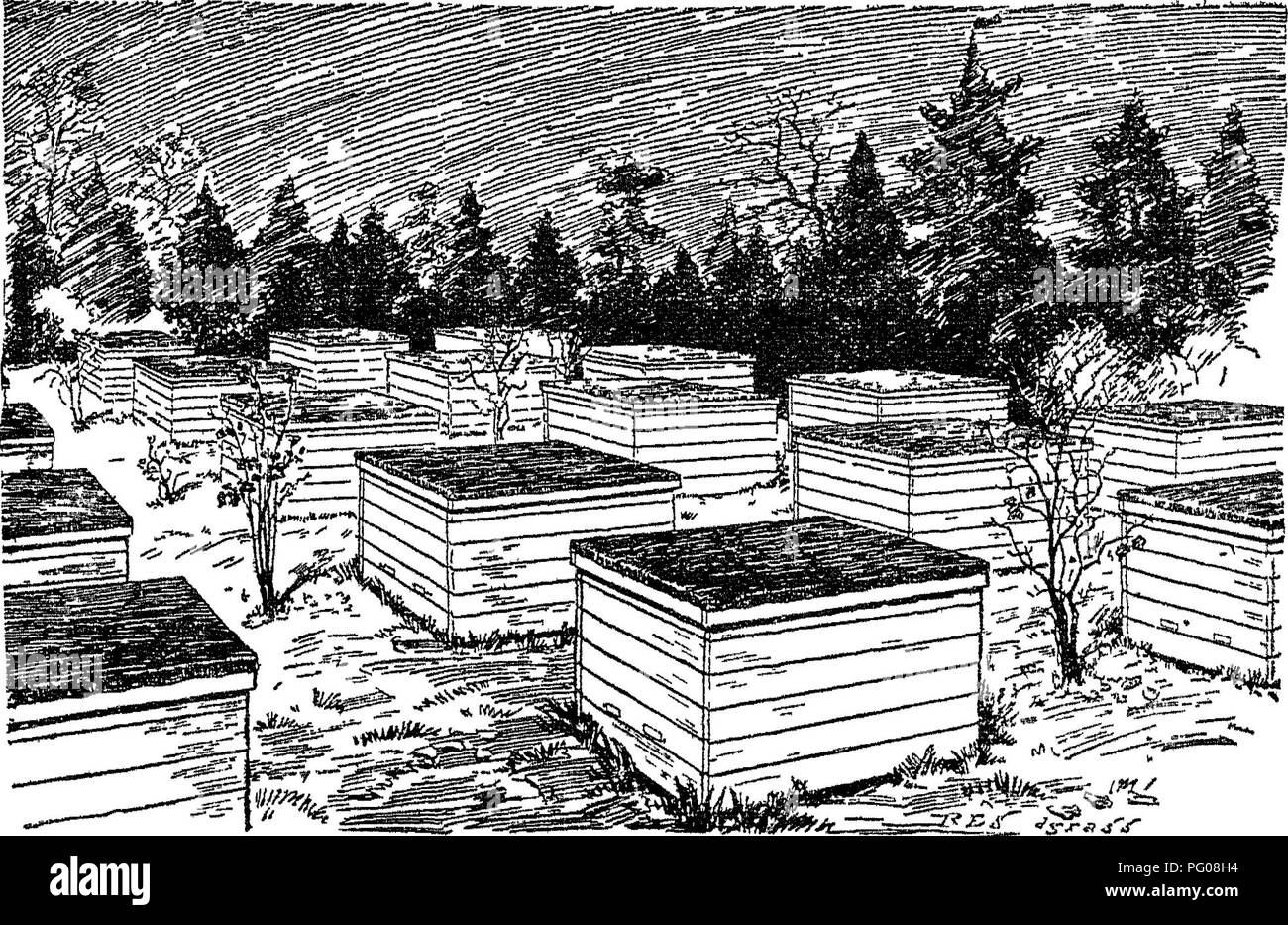 Beekeepers prepare hives for outdoor wintering by insulating the ...