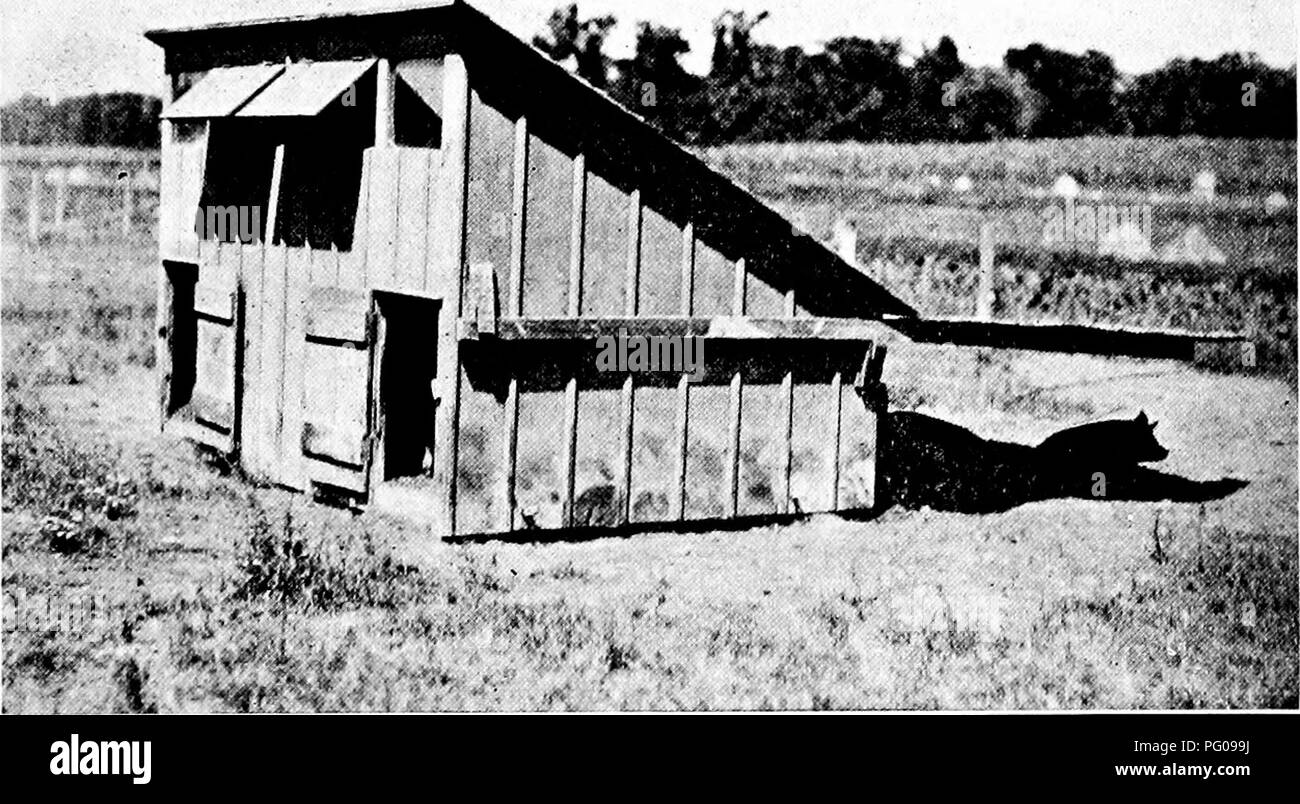 Poultry house cleaned hires stock photography and images Alamy
