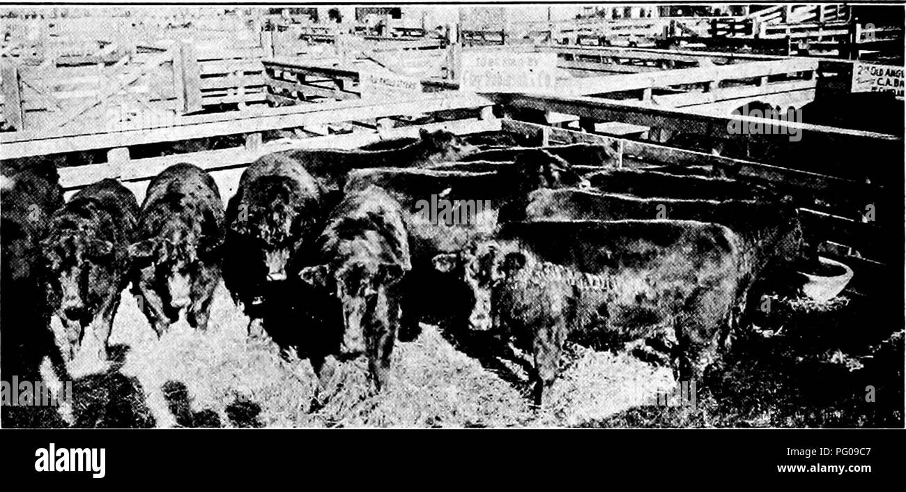 Fat well feed hires stock photography and images Alamy